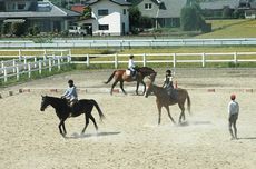 市民が馬と触れ合う機会を提供する高崎唯一の乗馬クラブ