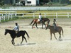 市民が馬と触れ合う機会を提供する高崎唯一の乗馬クラブ