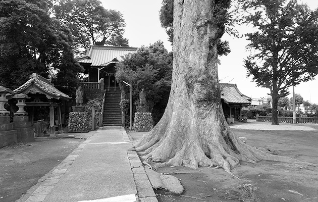 高崎新風土記「私の心の風景」