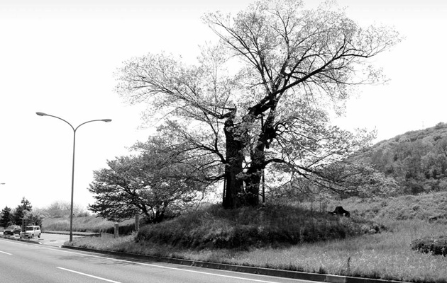 高崎新風土記「私の心の風景」