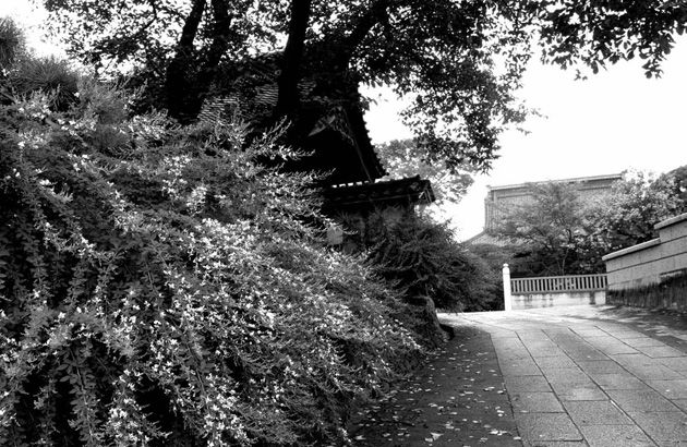 高崎新風土記「私の心の風景」