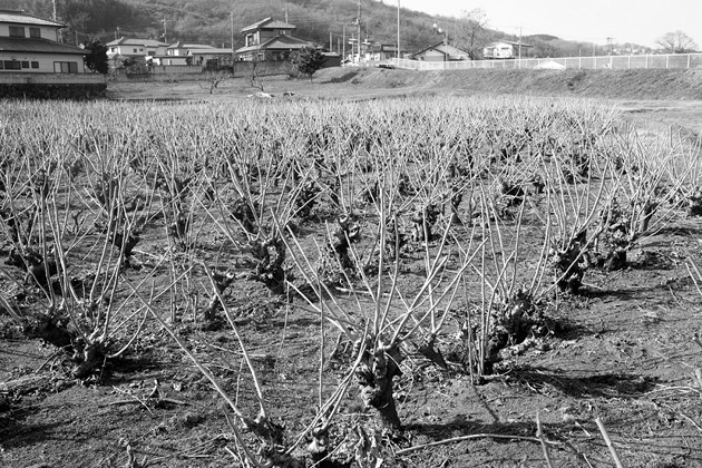 高崎新風土記「私の心の風景」