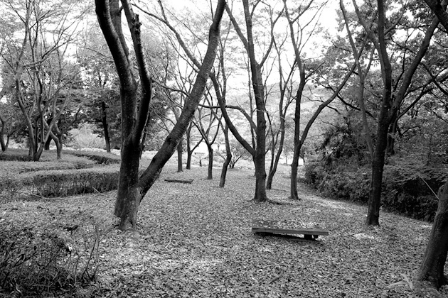 高崎新風土記「私の心の風景」