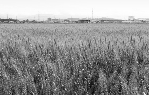 高崎新風土記「私の心の風景」