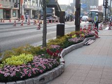 高崎花路花通り2009／29日に開幕