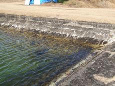 剣崎浄水場が土木遺産に／貴重な緩速ろ過