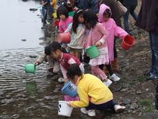 サケの稚魚を放流／ぼくらのサケを育てる会
