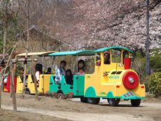 たかさき春祭りを開催／４月３日・４日