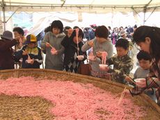 榛名の梅祭りにぎわう／試食会に長い列