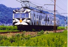 サファリ列車に乗って野生の動物に会いに行こう