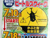 商店街でカブトムシをみつけよう／さやもーる