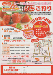 ケーキ屋さんのいちご畑でいちご狩り