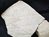 「片岡郡」刻書された土器が出土／八幡町・六枚遺跡