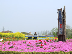 鼻高展望花の丘のアクセス面改善を要望