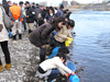 烏川にサケの稚魚を放流