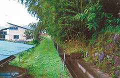 里山の竹やぶ６万㎡を清掃美化